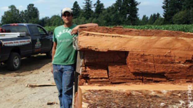 Simon Petree of Greenleaf Forest Products leans against a stack of locally reclaimed Douglas fir logs.
