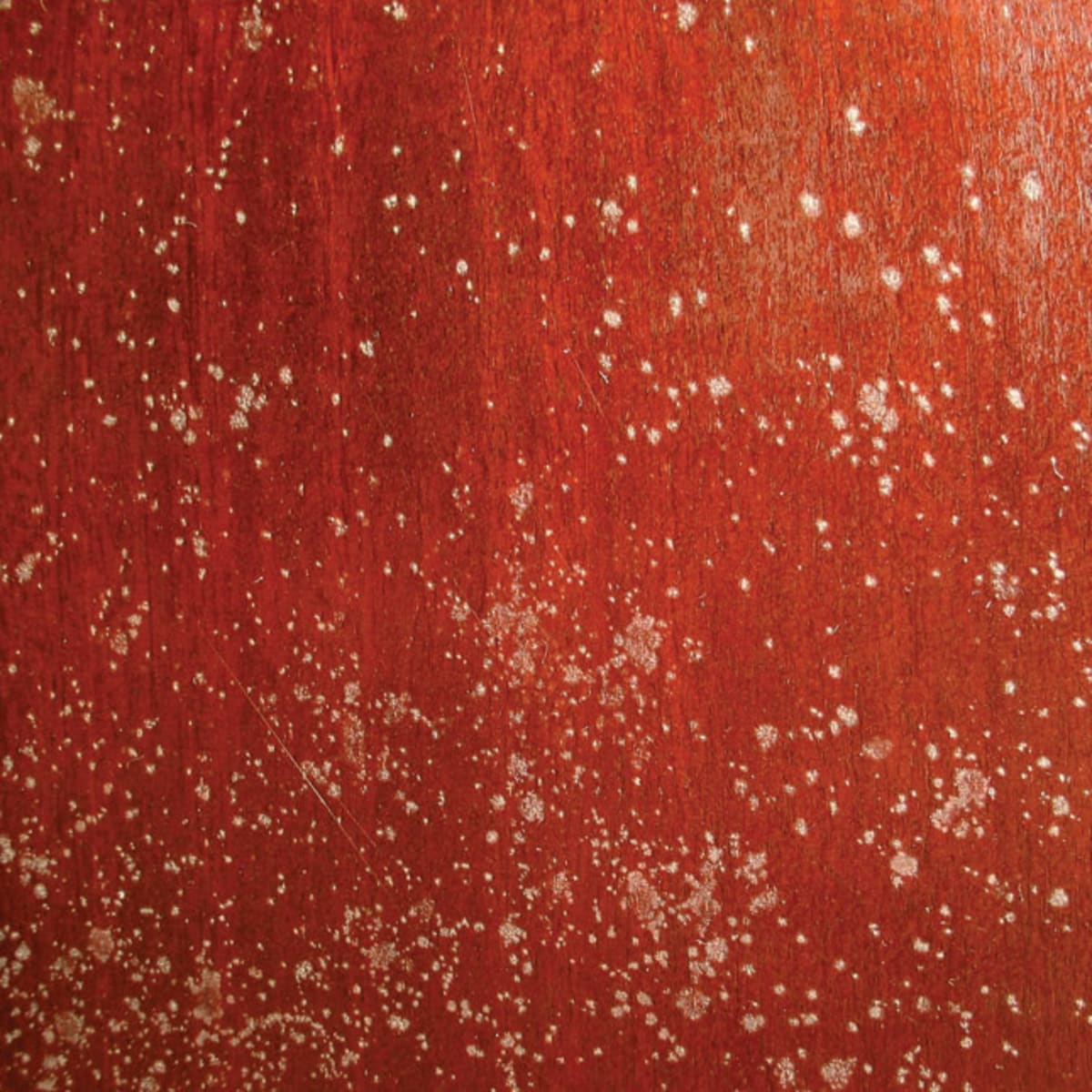 Treating Mold And Mildew Woodshop News