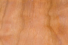 image-placeholder-title.jpg