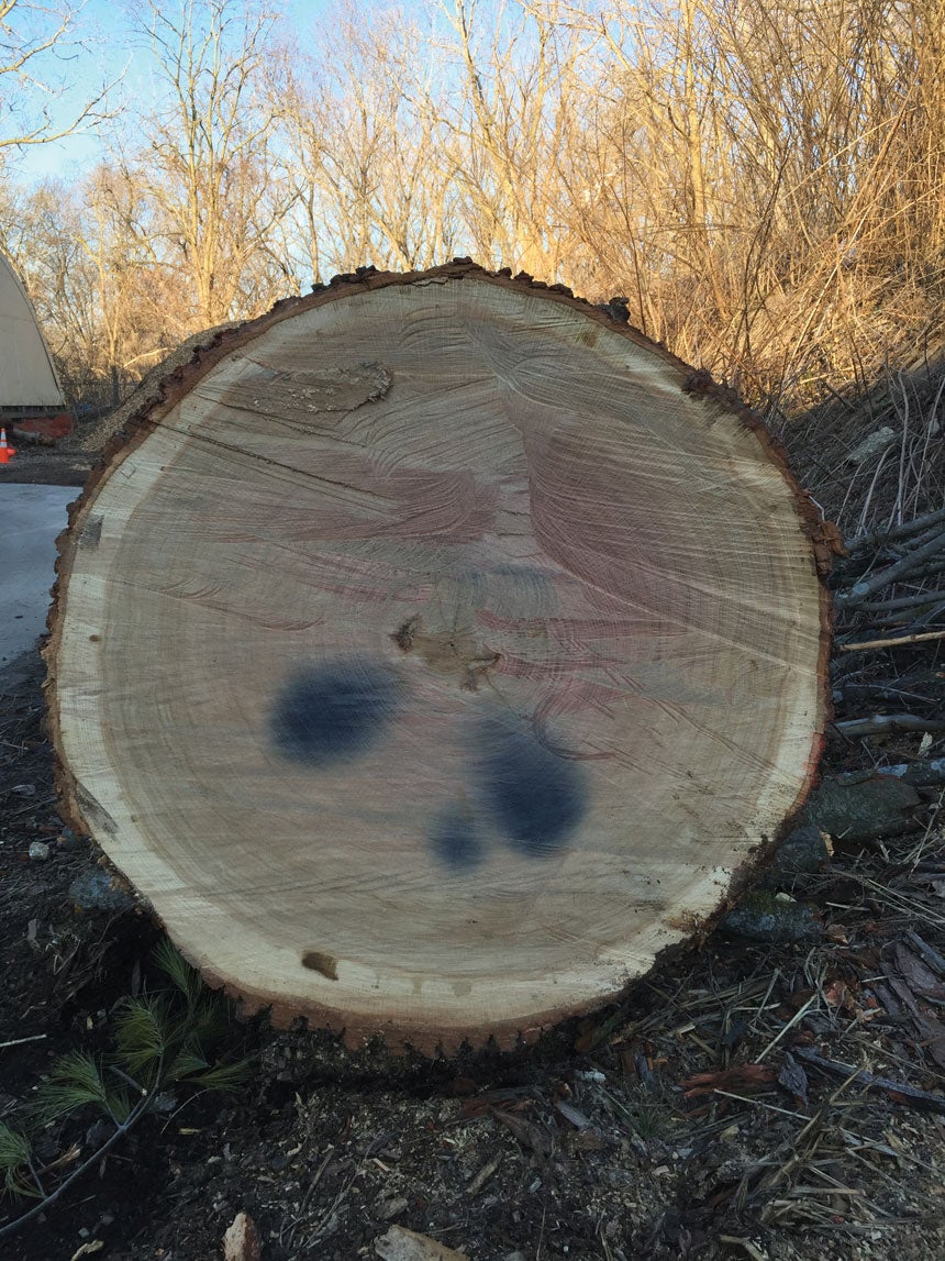 log.jpg